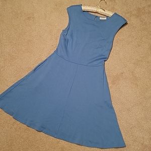 New York & Company blue cotton dress *